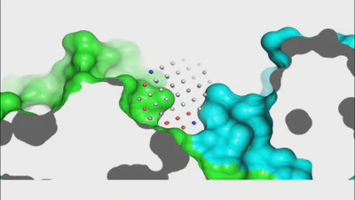 PPiome featured image