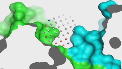 PPIome datasets featured image
