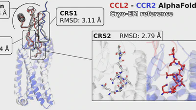 LIT-AlphaFold featured image