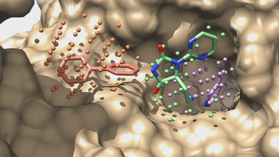 ProCare featured image