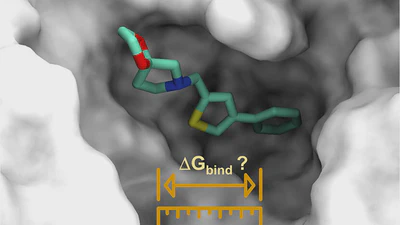 Quality Check featured image